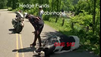 The Gamestock Story
