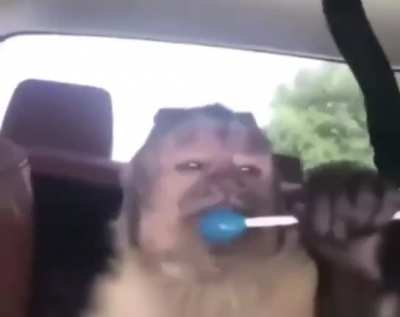 🤑🤑POV: Tener 786.973 bol&iacute;vares 🤑🤑 messobra