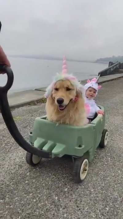 The Usual Thing, Just A Couple Of Unicorns.