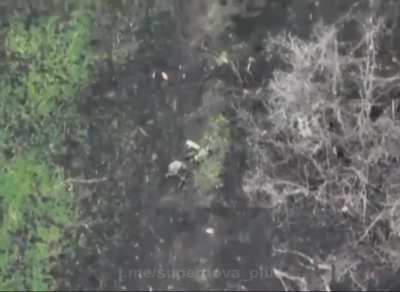 Russian soldiers who had died were scattered throughout the land. Report from close to Bakhmut Raion, Donetsk Oblast, from the 10th Mountain Assault Brigade of the Ukrainian Armed Forces