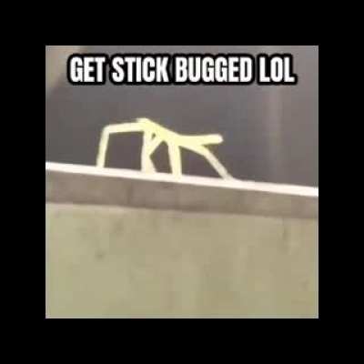 All 13 memes in 1 video.