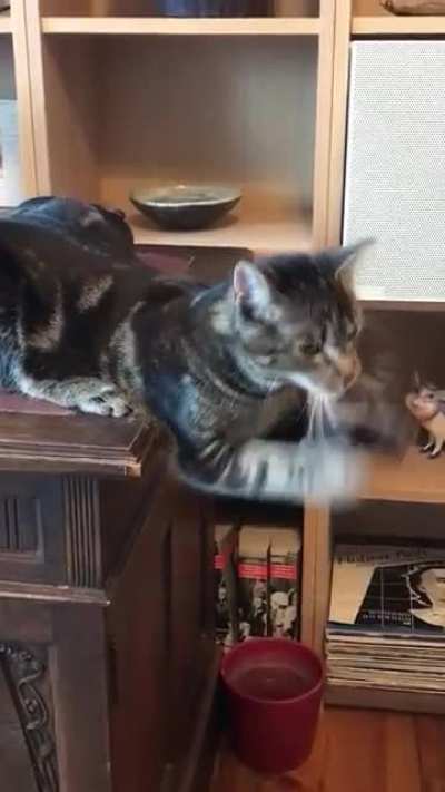 What&rsquo;s my cat doing?
