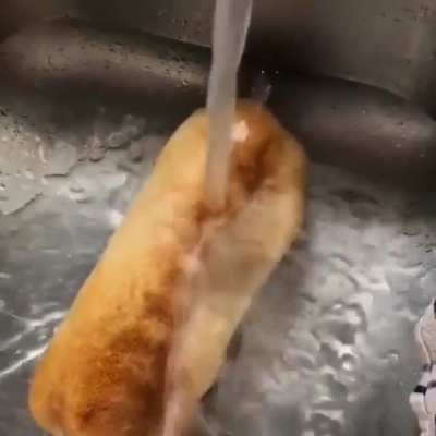 Хлебушек
