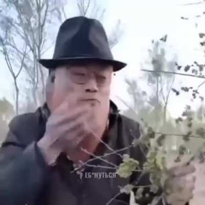 Хуманизация хуя