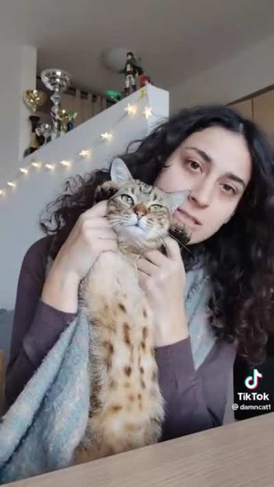 Mammma miao!