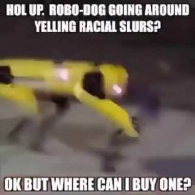 Robo Dog is based.