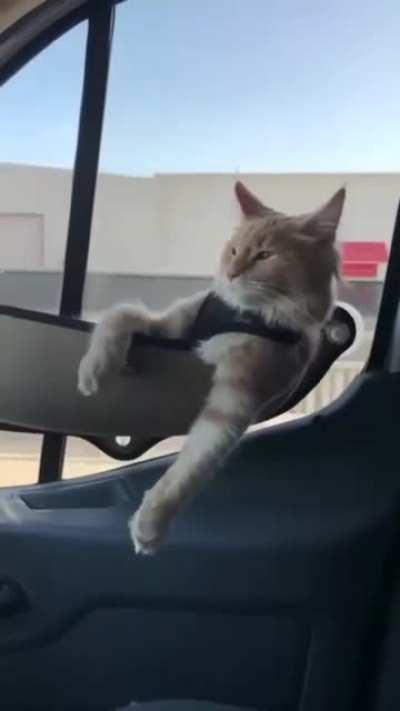 Living his best life