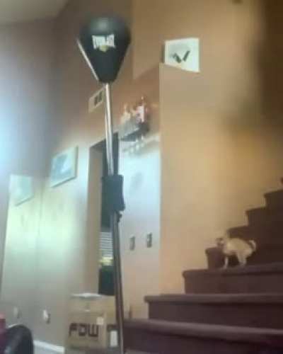 That punch