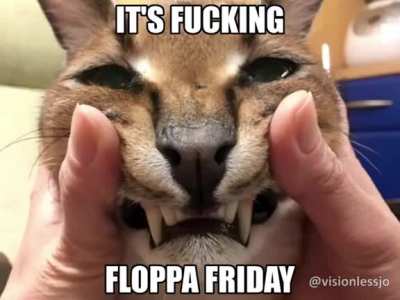 Floppppppppppppppppppperule