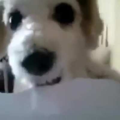 papelito kk