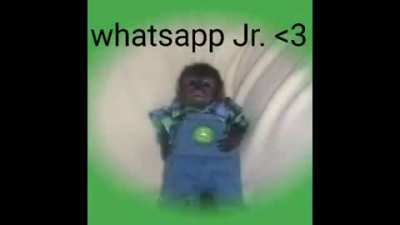PIKENO ZAP 😍😍😍😍😍😍😍😍😍😍