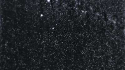 Earth swimming in a sea of stars amidst the Milky Way