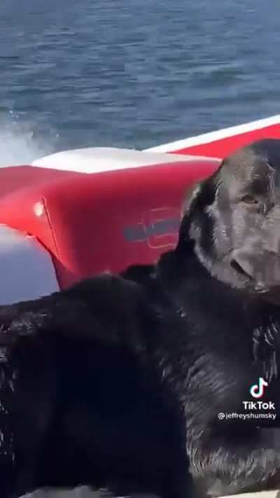 Boat ride