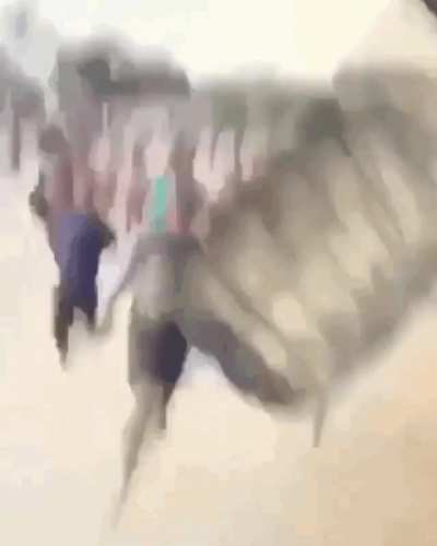 Africa