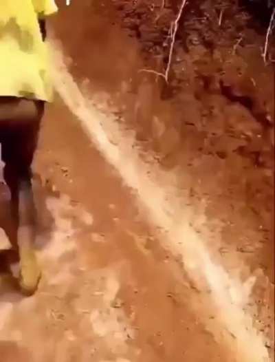 ThisLooksFun