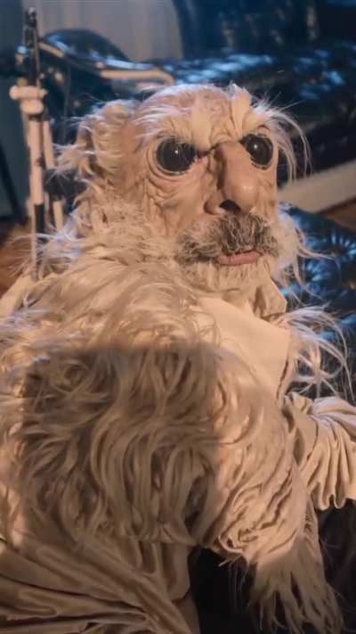 Hellhound IRL