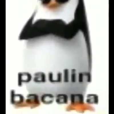 paulin😳👌