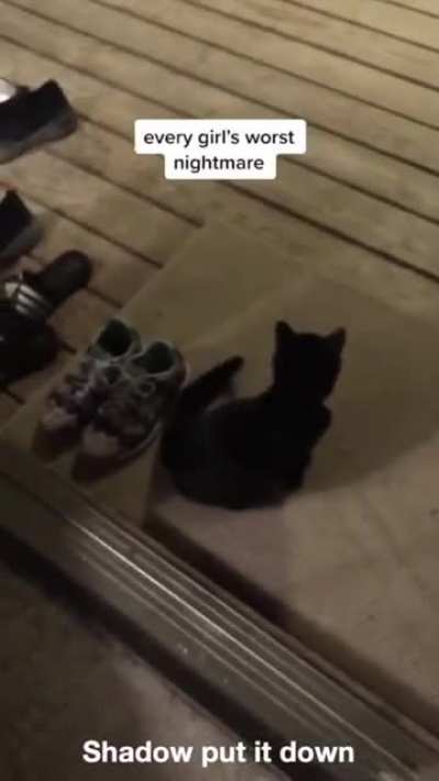 Shadow, put it DOWN