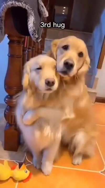 Funny hugs 🤗