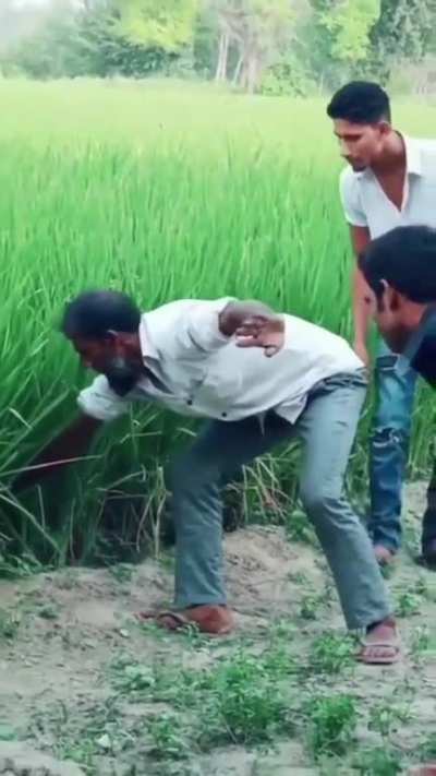 Brave man