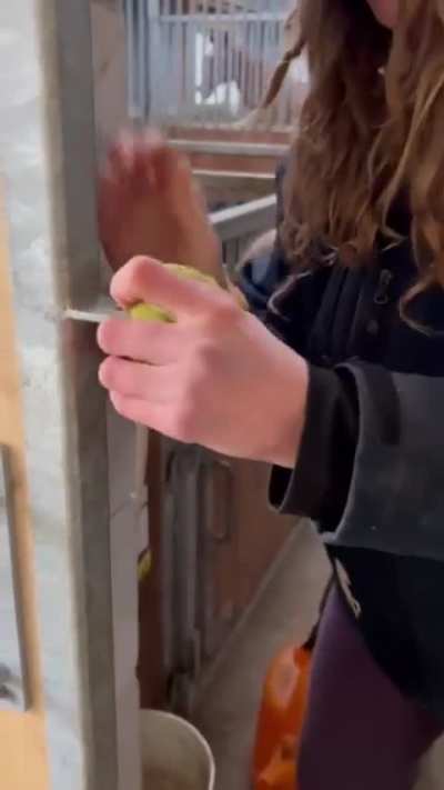 Maybe maybe maybe