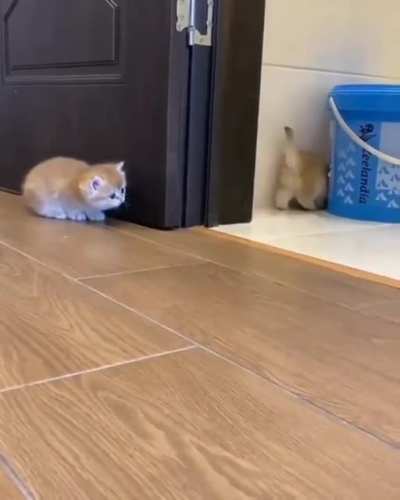 so sneaky