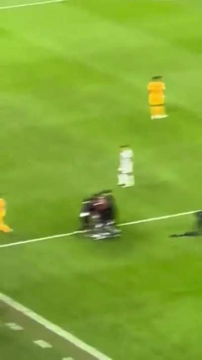 Pitch invader in the Argentina and Netherlands game.