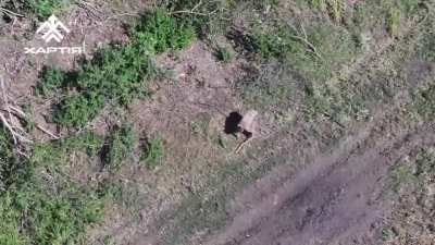 UA National Guard's 13th Brigade "Charter" ("Khartia") drone team spotted an injured Russian soldier left behind by his unit in the Kharkiv region, dropping a bottle of water and surrender instructions and ultimately retrieving the man with an armored veh