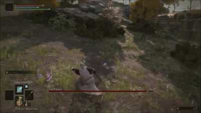 Someone care to explain the lore of this enemy?