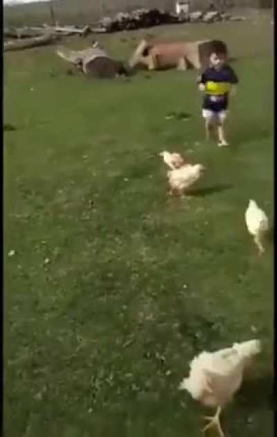 Gallina esperanos un poquito m&aacute;s 🐓🔪