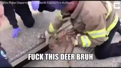 rule