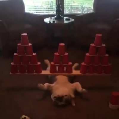 "Guess I'm a fucking table now"