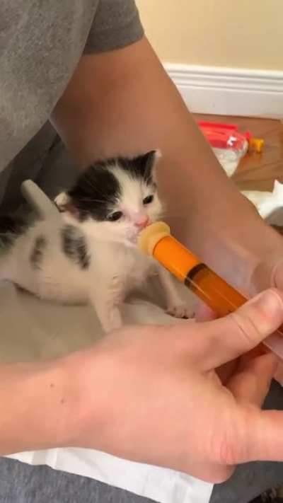 Meal Time