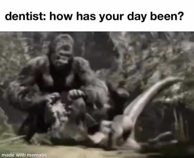 dentists be like