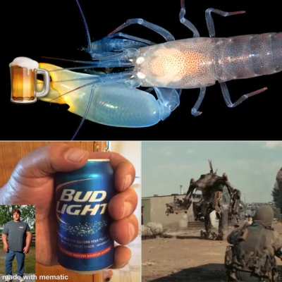 In my world, you wouldn't ever think of stealing a shrimp's beer. Shrimp-based retribution is swift, furious, and, frankly, delicious.