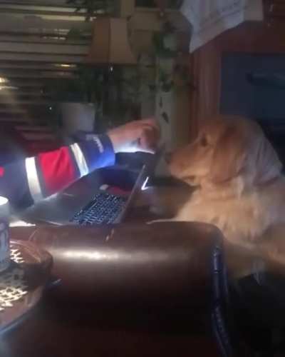 You will pay attention to me
