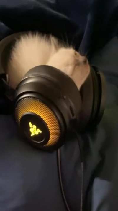 :3