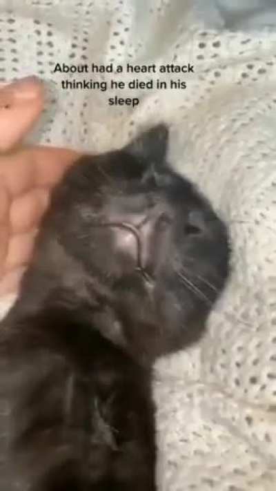 eepy wunk