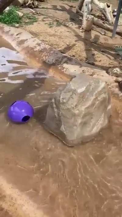 IRL Prop Hunt