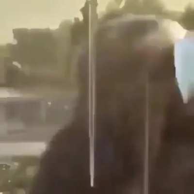 Don&rsquo;t mess with monkey