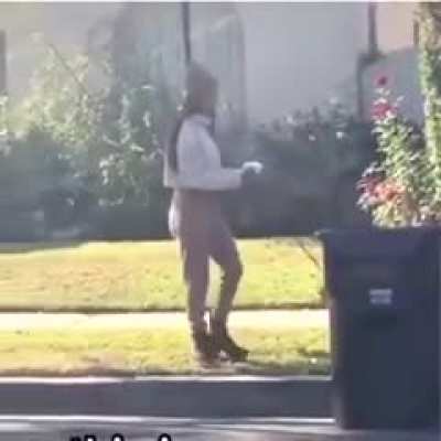 Just a lady walking her dog...