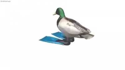 Shitpost fodase