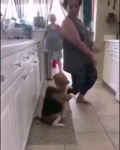 He&rsquo;s got some moves