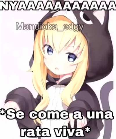 inserte titulo