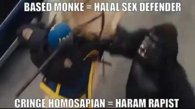 Rap