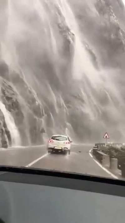 Beautiful or scary?