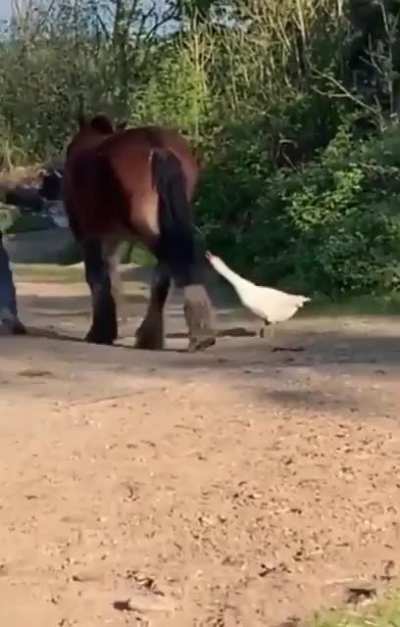 Fuck Around and Find Out