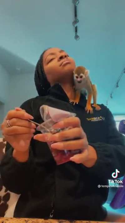 Thanks, I love tiny naughty monkey begging for pomegranate.