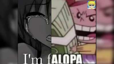 Im falopa 🤑