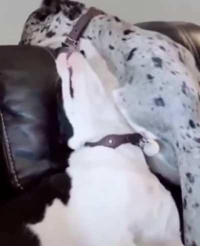 mmmh